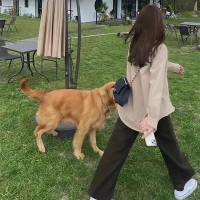 大使的宝藏家宴